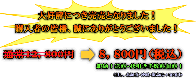 MP4�ץ졼�䡼 ���Ρ��ʰ¡�����