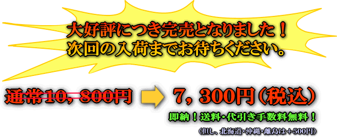 ������ EL�ʥ�С� �ץ졼�� ���Ρ��ʰ¡�����