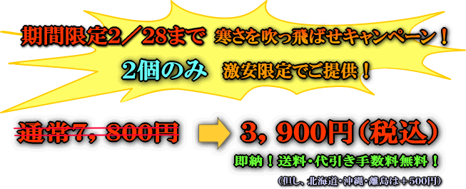 �ۥ磻�ȥ饤�ȡ��ۥ磻�ȥ˥� ���᤭ʴ ���Ρ��ʰ¡�����